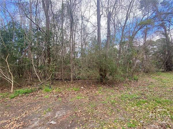 0.29 Acres of Residential Land for Sale in Savannah, Georgia