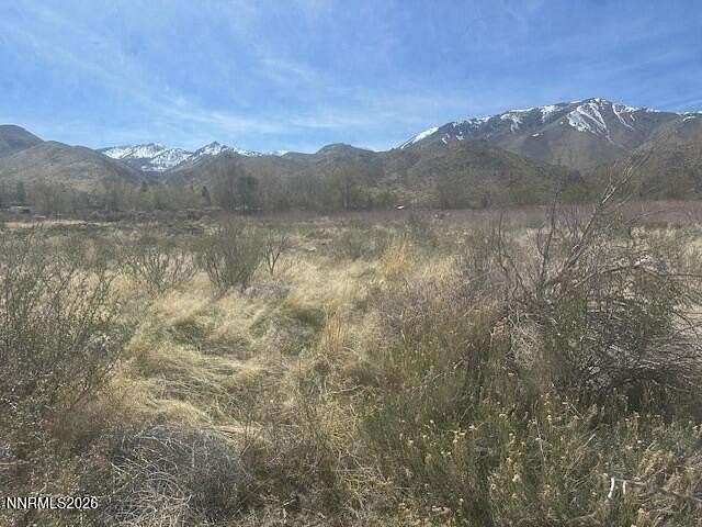 9.3 Acres of Land for Sale in Coleville, California