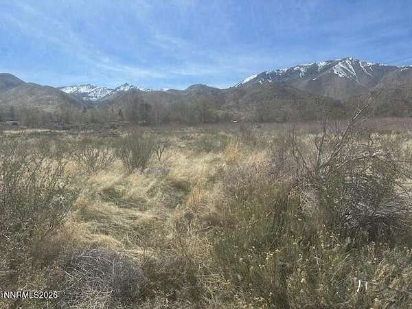 9.3 Acres of Land for Sale in Coleville, California