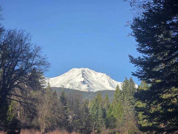 2.65 Acres of Residential Land for Sale in Mount Shasta, California