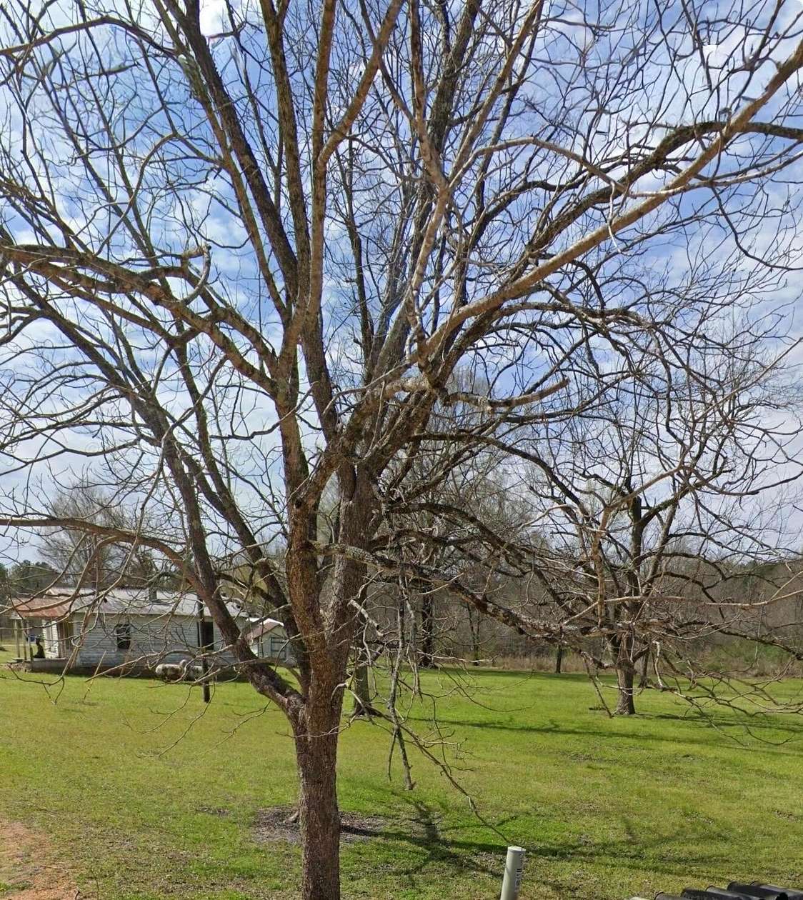 2.15 Acres of Residential Land for Sale in Shorter, Alabama