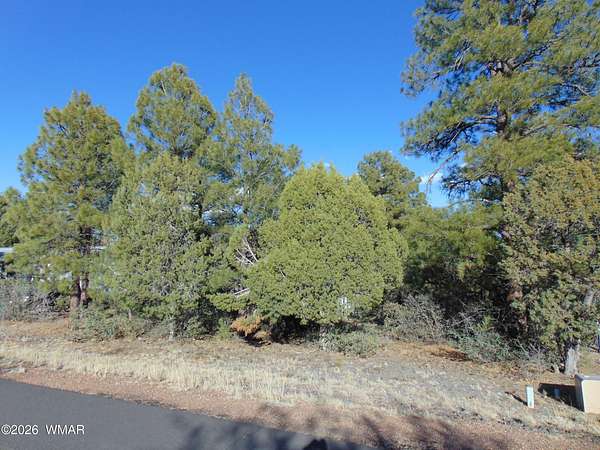 0.19 Acres of Residential Land for Sale in Show Low, Arizona