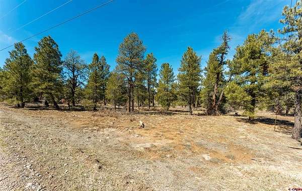 3 Acres of Land for Sale in Pagosa Springs, Colorado