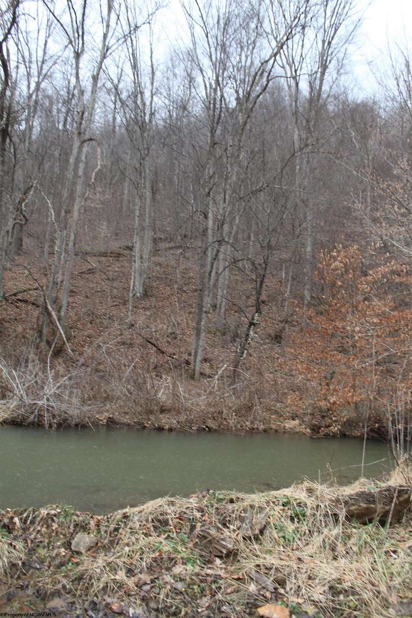 50 Acres of Recreational Land for Sale in Webster Springs, West Virginia