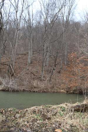 50 Acres of Recreational Land for Sale in Webster Springs, West Virginia