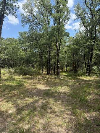 6 Acres of Land for Sale in Riesel, Texas