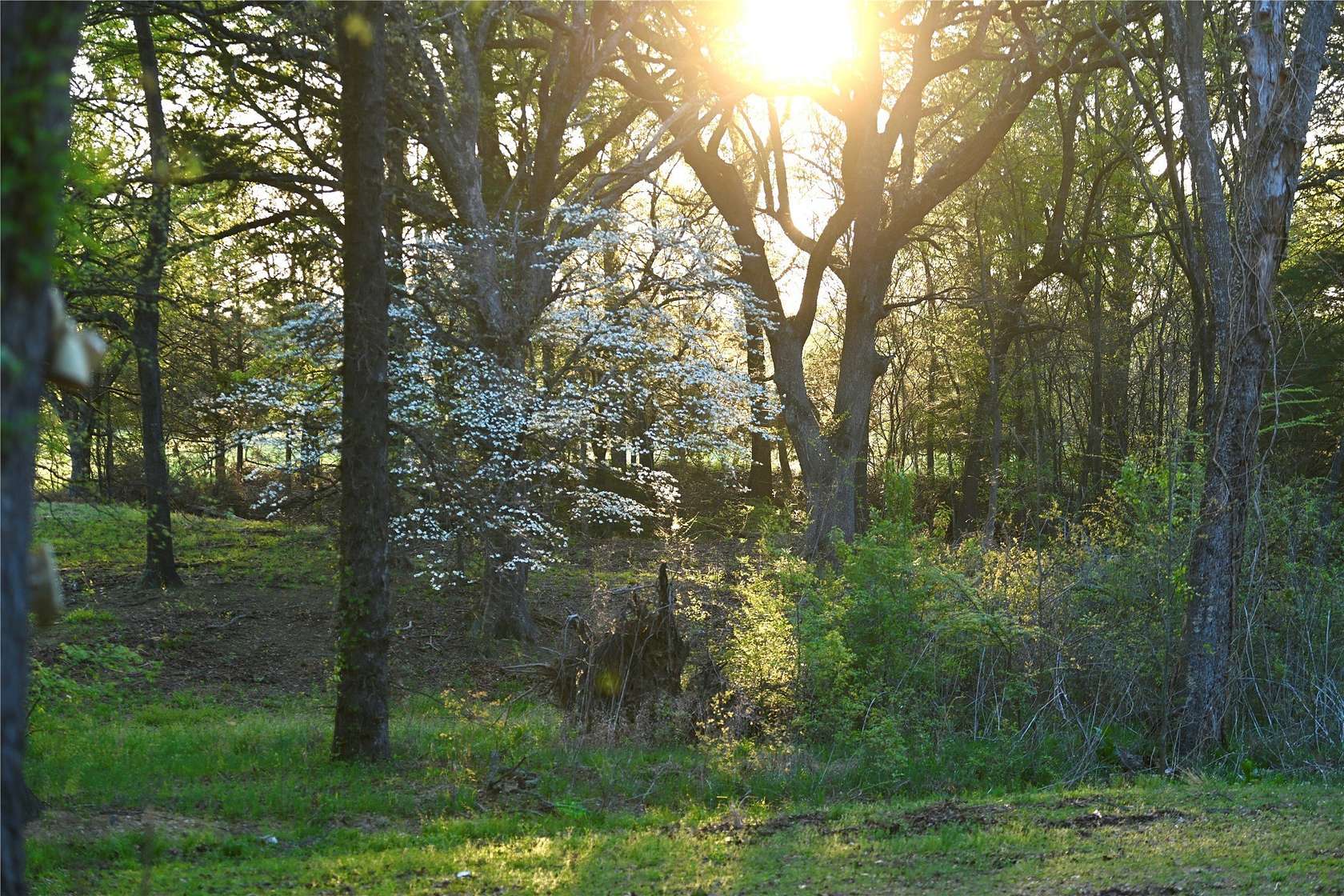 23.2 Acres of Recreational Land with Home for Sale in Telephone, Texas