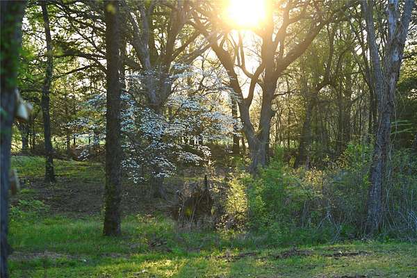23.2 Acres of Recreational Land with Home for Sale in Telephone, Texas