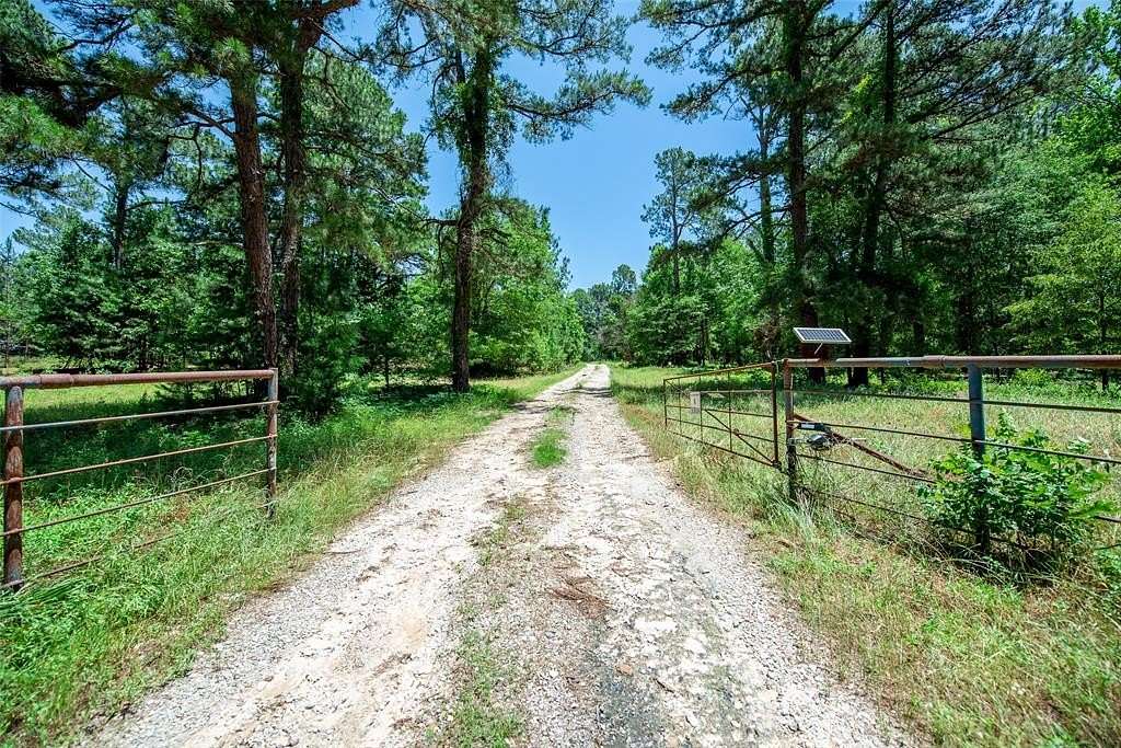 76.1 Acres of Recreational & Residential Land for Sale in Mount Vernon, Texas
