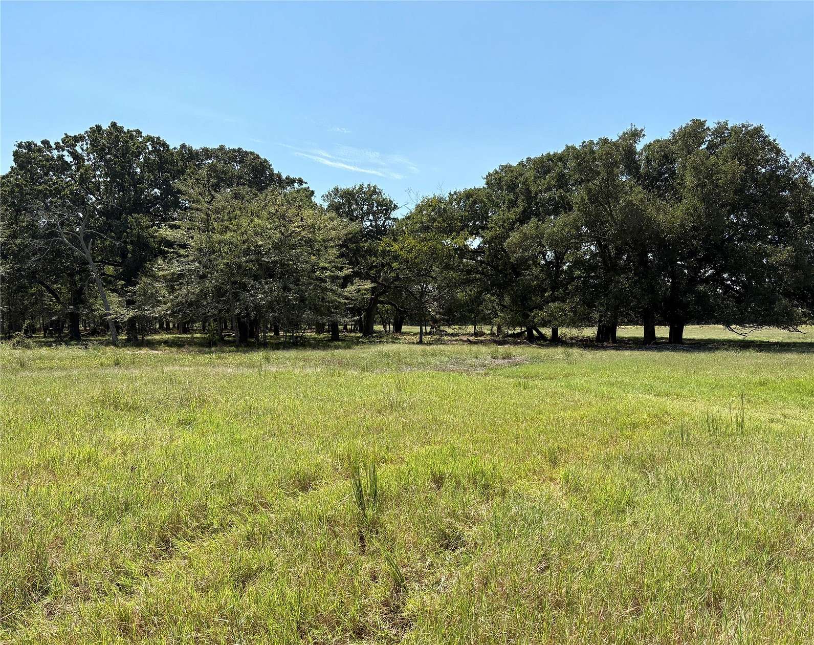 21 Acres of Land for Sale in Brashear, Texas