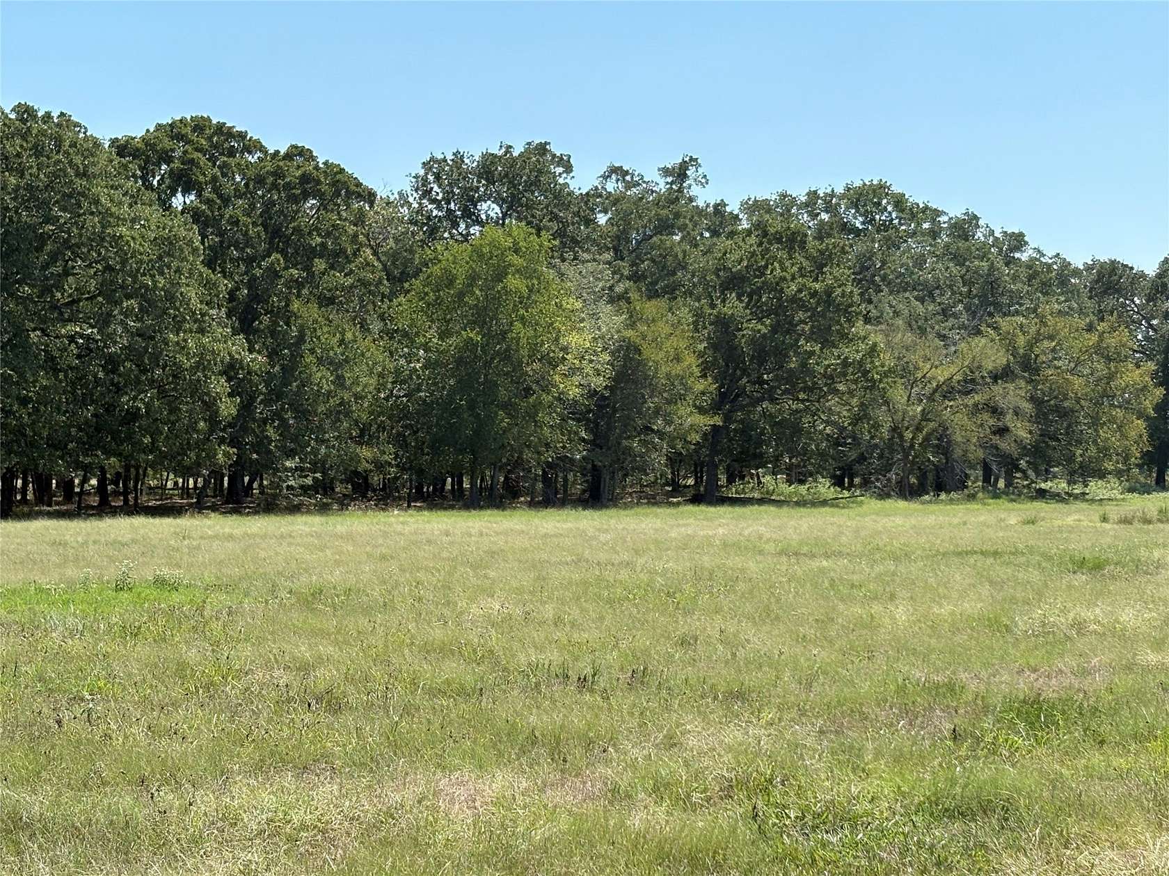 21 Acres of Land for Sale in Brashear, Texas
