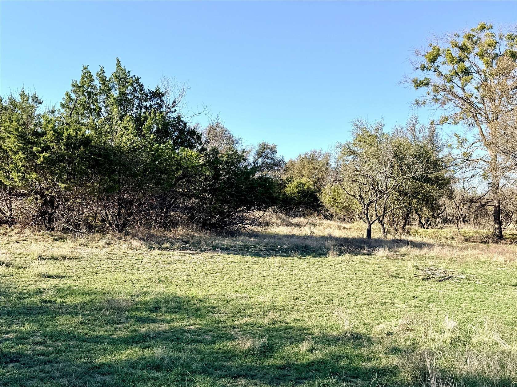 33.2 Acres of Recreational & Residential Land for Sale in Goldthwaite, Texas