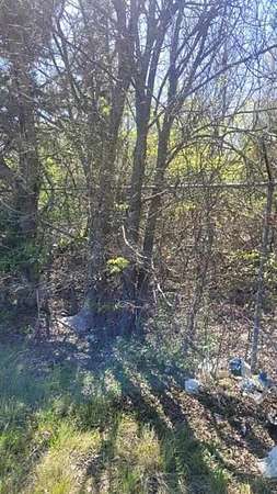 5 Acres of Land for Sale in Palmer, Texas