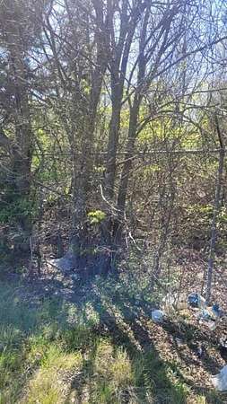 5 Acres of Land for Sale in Palmer, Texas
