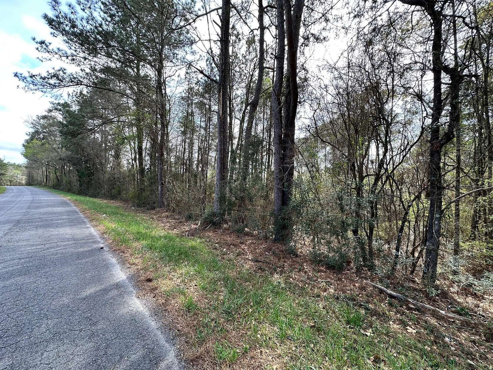 3 Acres of Residential Land for Sale in Ellisville, Mississippi