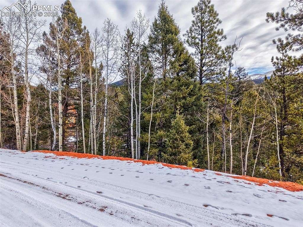 1 Acre of Residential Land for Sale in Divide, Colorado