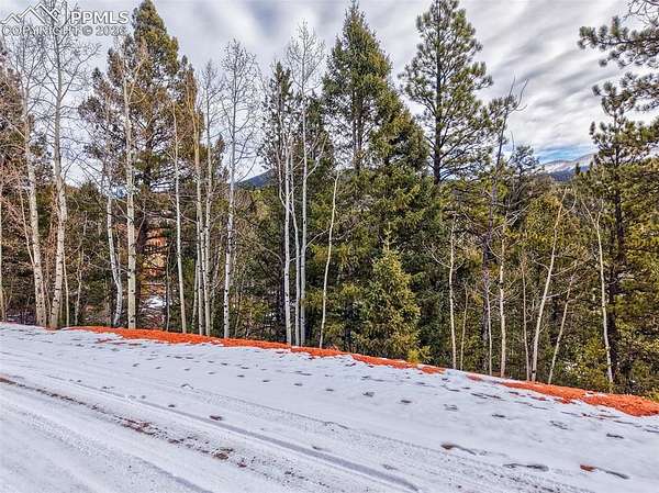 1 Acre of Residential Land for Sale in Divide, Colorado