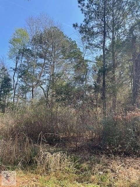 4.5 Acres of Residential Land for Sale in Texarkana, Texas