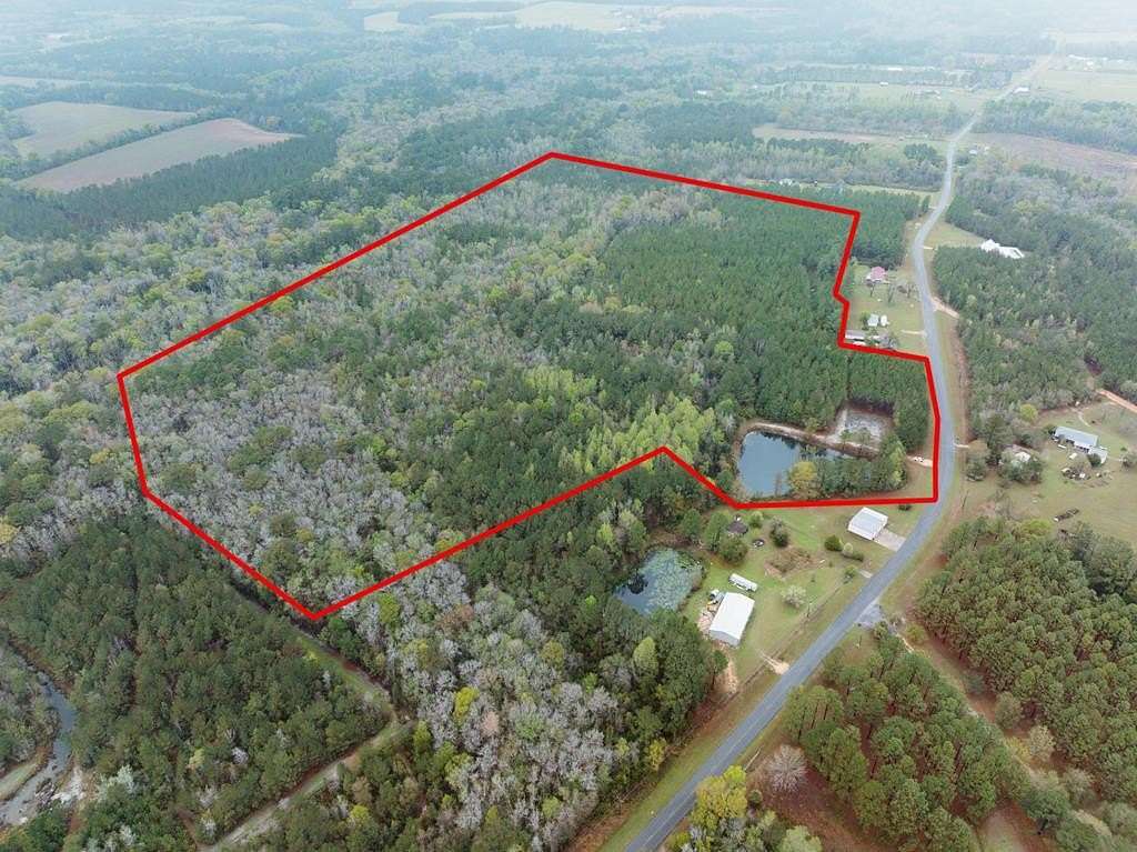 54.6 Acres of Recreational & Residential Land for Sale in Jesup, Georgia