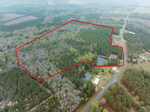 54.6 Acres of Recreational & Residential Land for Sale in Jesup, Georgia