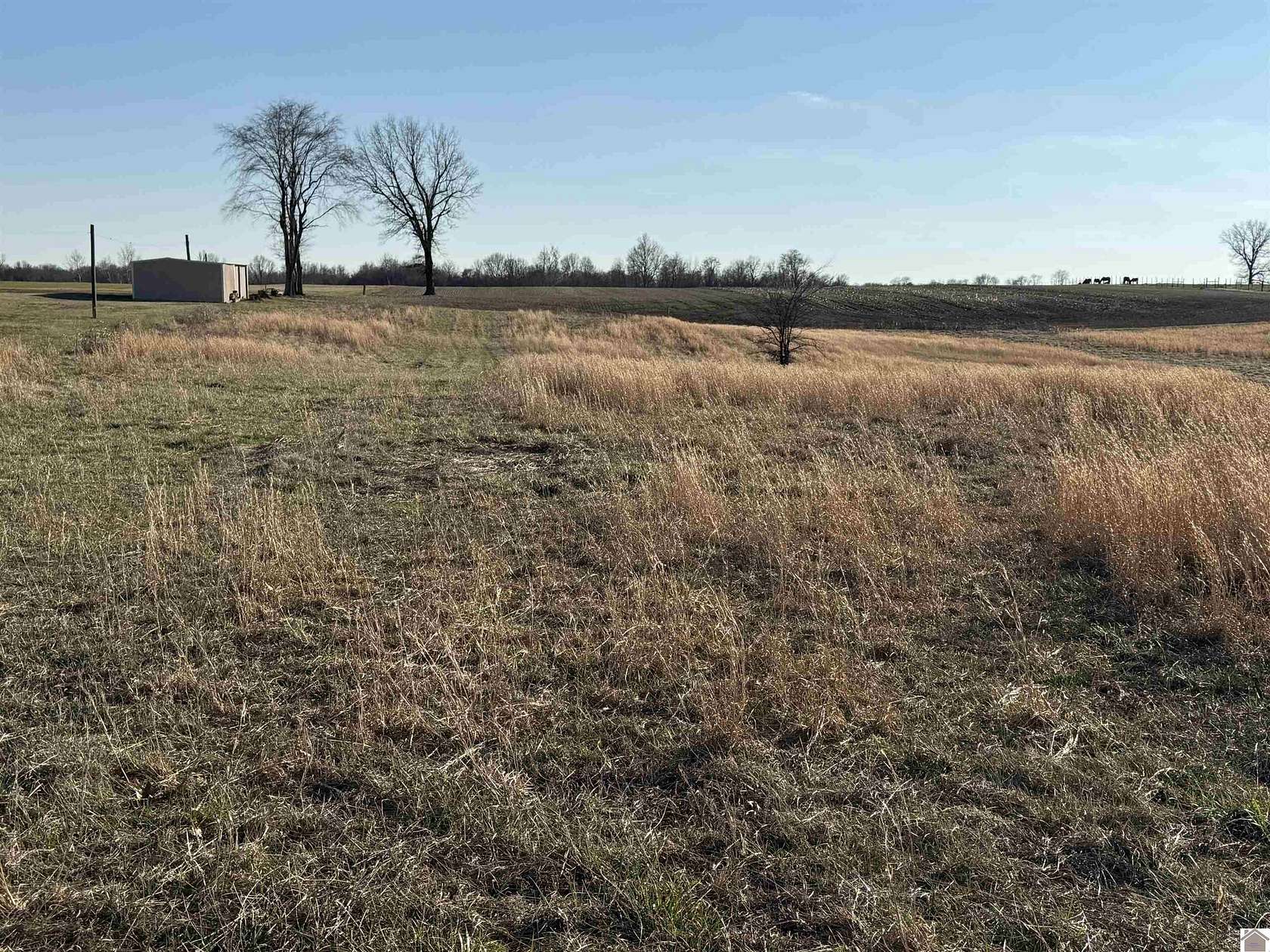 30 Acres of Agricultural Land for Sale in Mayfield, Kentucky