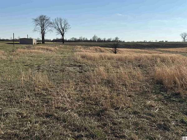30 Acres of Agricultural Land for Sale in Mayfield, Kentucky