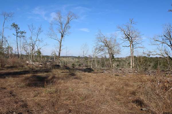 34 Acres of Recreational & Residential Land for Sale in Rusk, Texas
