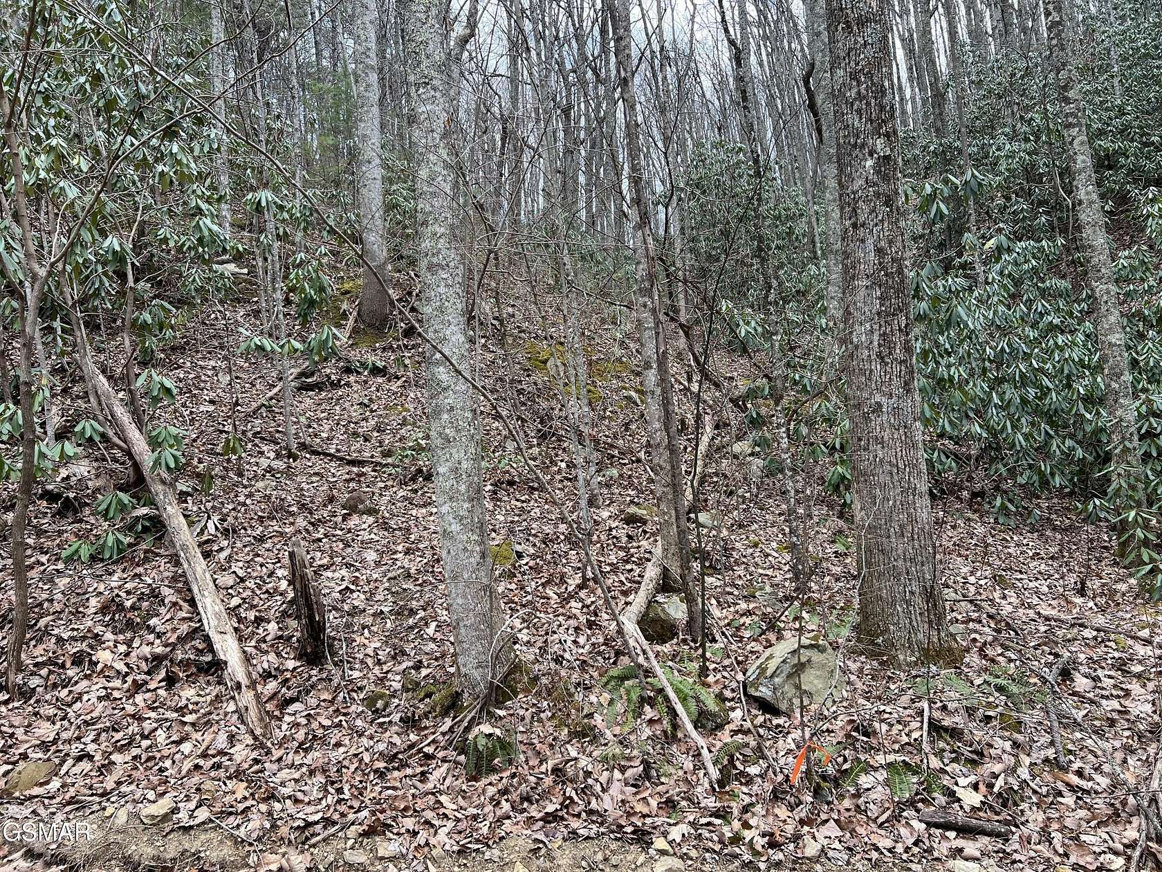 0.44 Acres of Residential Land for Sale in Sevierville, Tennessee