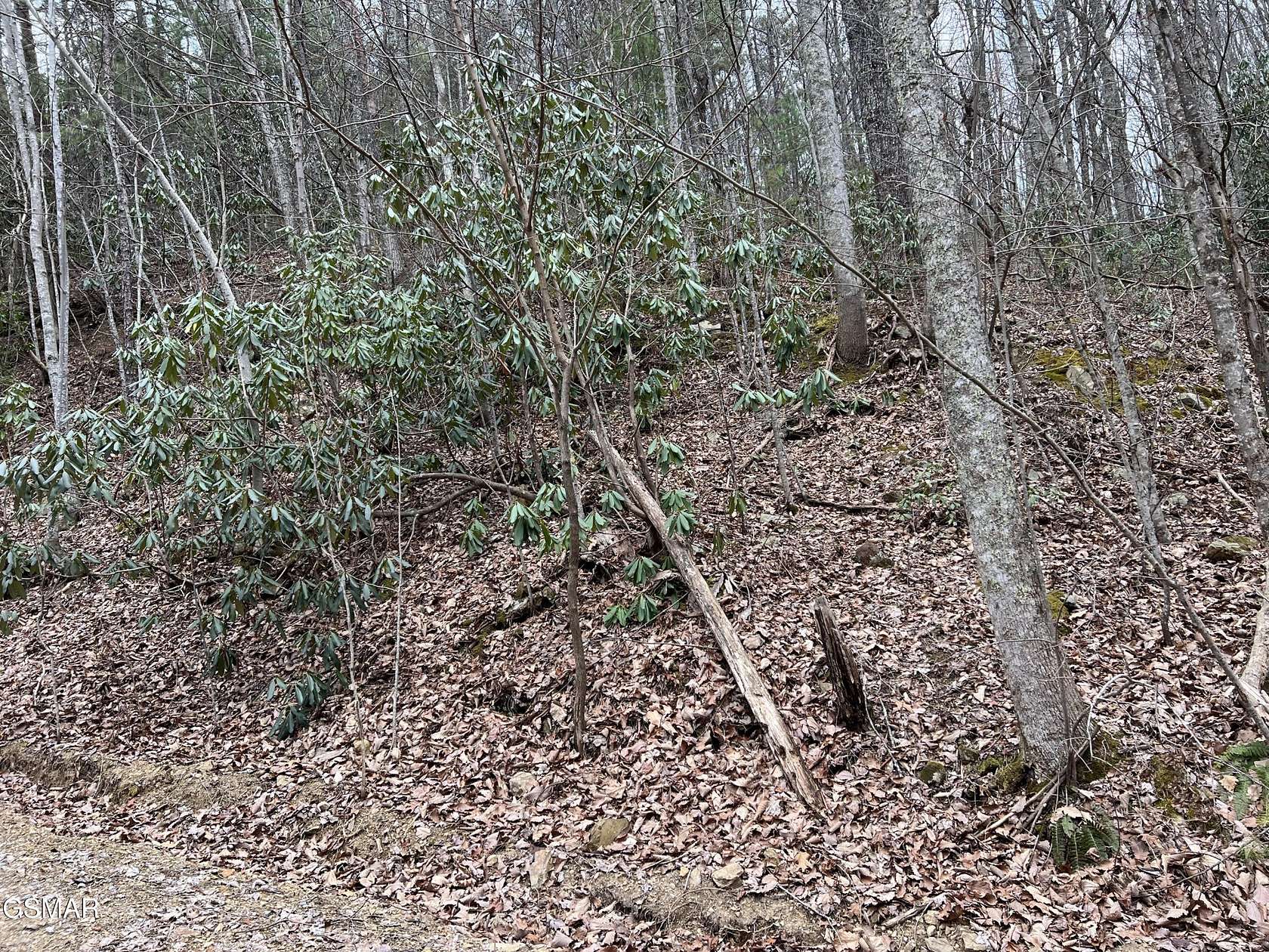 0.44 Acres of Residential Land for Sale in Sevierville, Tennessee