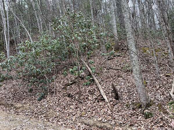 0.44 Acres of Residential Land for Sale in Sevierville, Tennessee