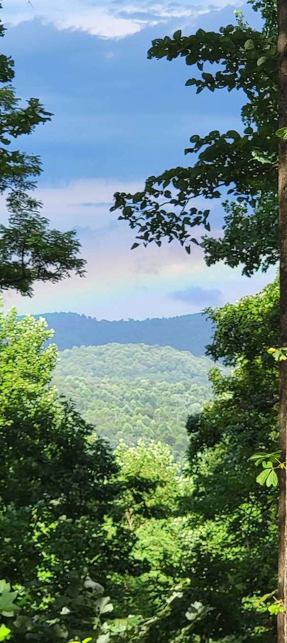 0.87 Acres of Residential Land for Sale in Moravian Falls, North Carolina
