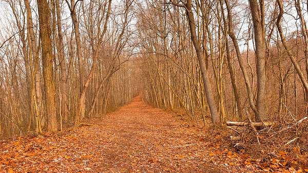 105 Acres of Recreational Land for Sale in Londonderry, Ohio