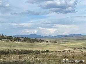 22 Acres of Recreational & Residential Land for Sale in Hartsel, Colorado
