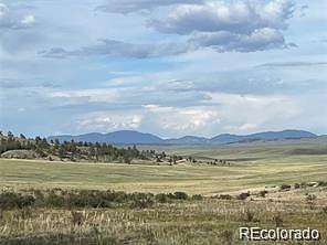 22 Acres of Recreational & Residential Land for Sale in Hartsel, Colorado