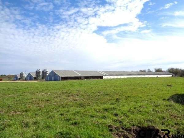 80 Acres of Agricultural & Residential Land for Sale in Pittsburg, Texas