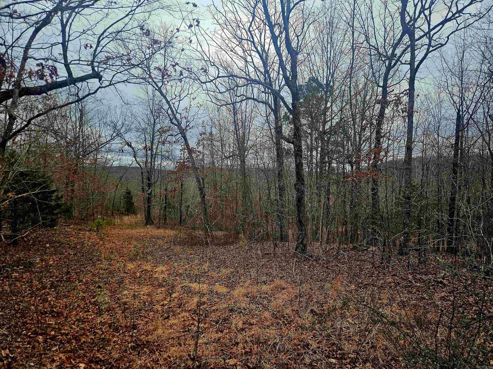 9.82 Acres of Land for Sale in Marshall, Arkansas