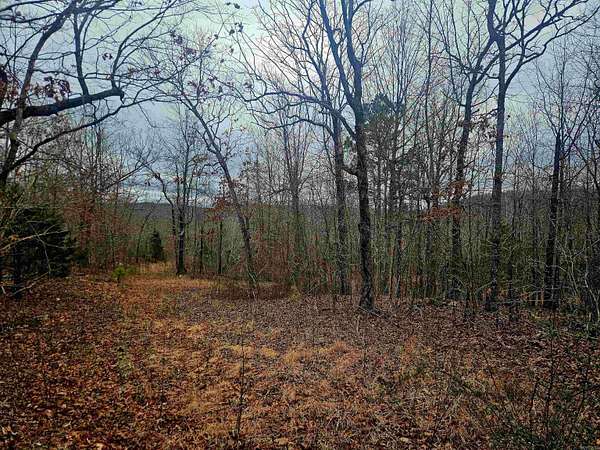 9.82 Acres of Land for Sale in Marshall, Arkansas