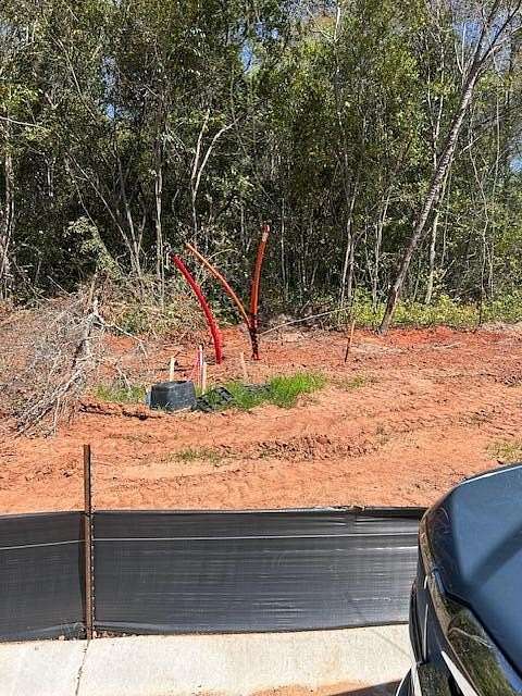 16.5 Acres of Land for Sale in Dalzell, South Carolina