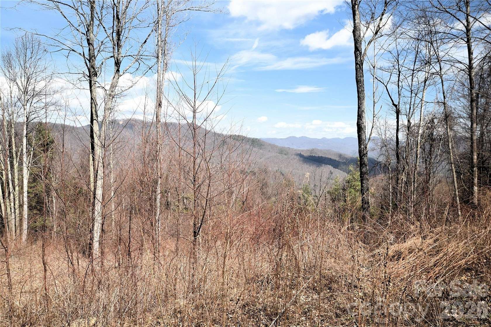 1 Acre of Land for Sale in Waynesville, North Carolina