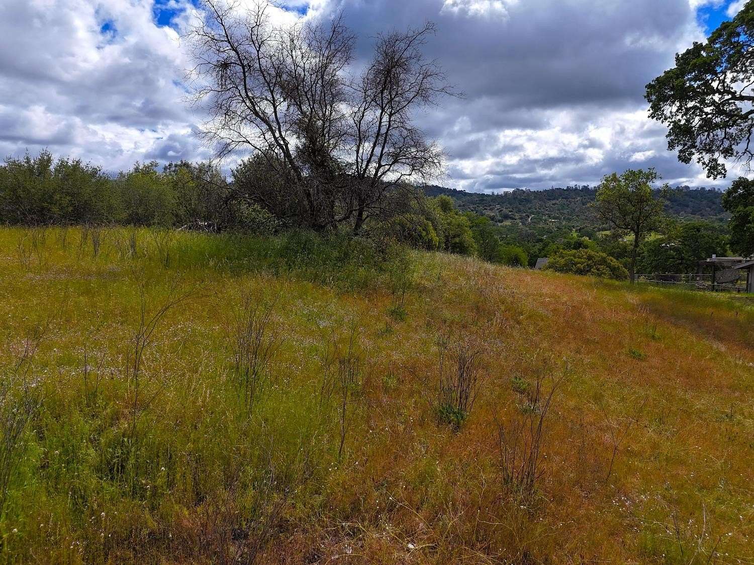 1.15 Acres of Residential Land for Sale in Coarsegold, California