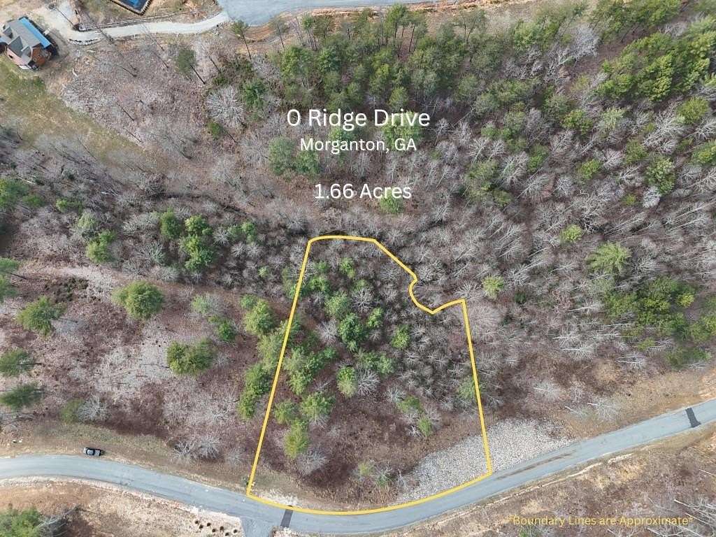 1.66 Acres of Residential Land for Sale in Morganton, Georgia