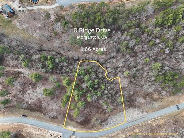 1.66 Acres of Residential Land for Sale in Morganton, Georgia