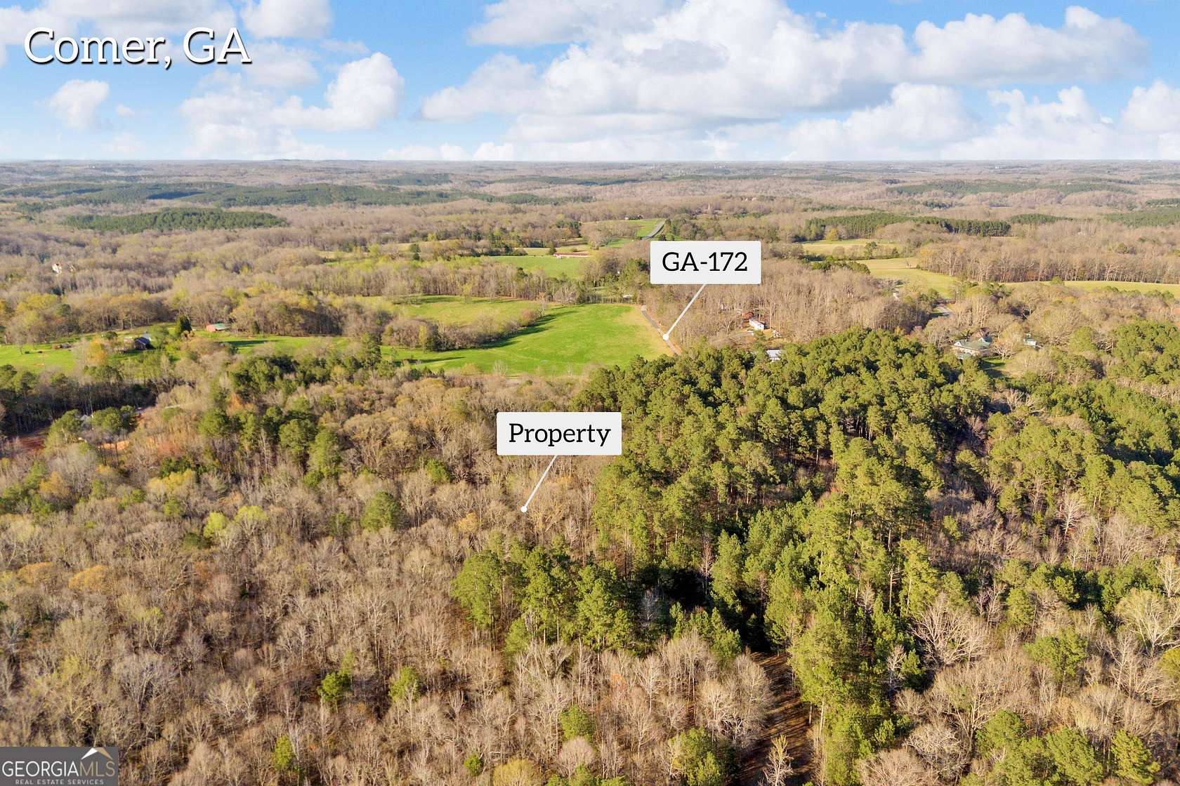 140 Acres of Recreational & Residential Land for Sale in Comer, Georgia