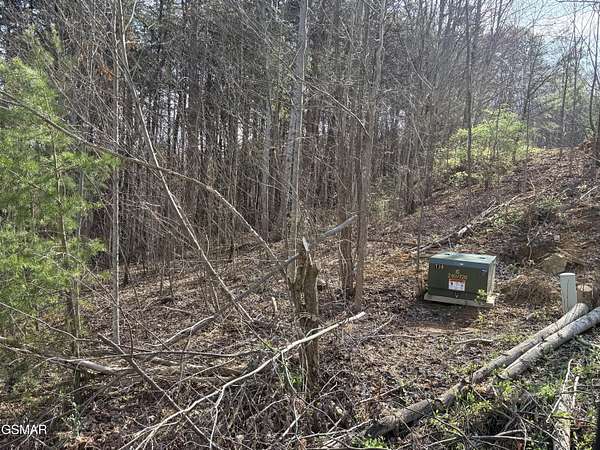 5 Acres of Residential Land for Sale in Newport, Tennessee