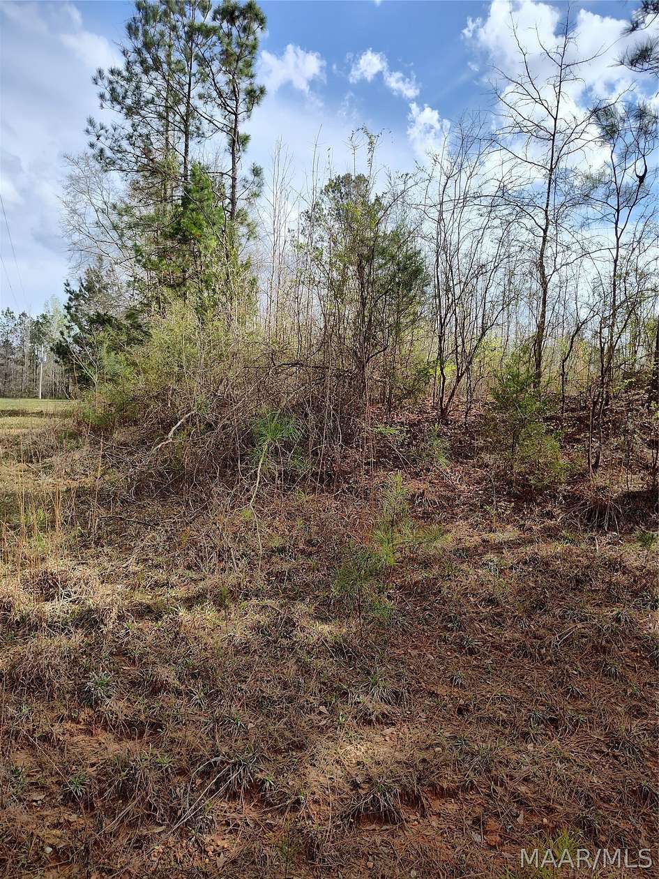 66.5 Acres of Recreational Land for Sale in Georgiana, Alabama
