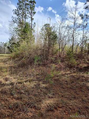 66.5 Acres of Recreational Land for Sale in Georgiana, Alabama