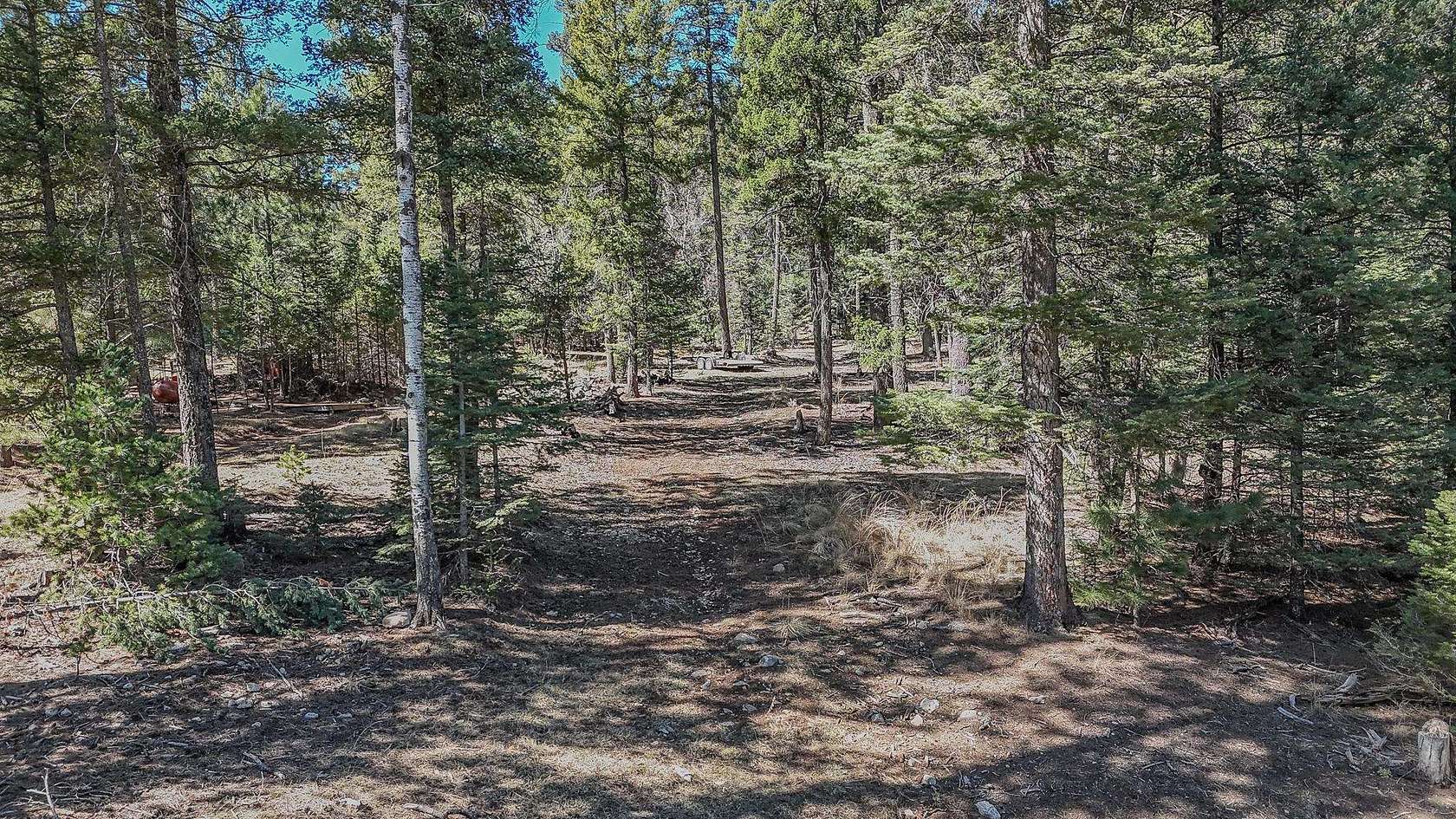 12 Acres of Land for Sale in Cloudcroft, New Mexico