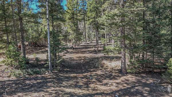 12 Acres of Land for Sale in Cloudcroft, New Mexico