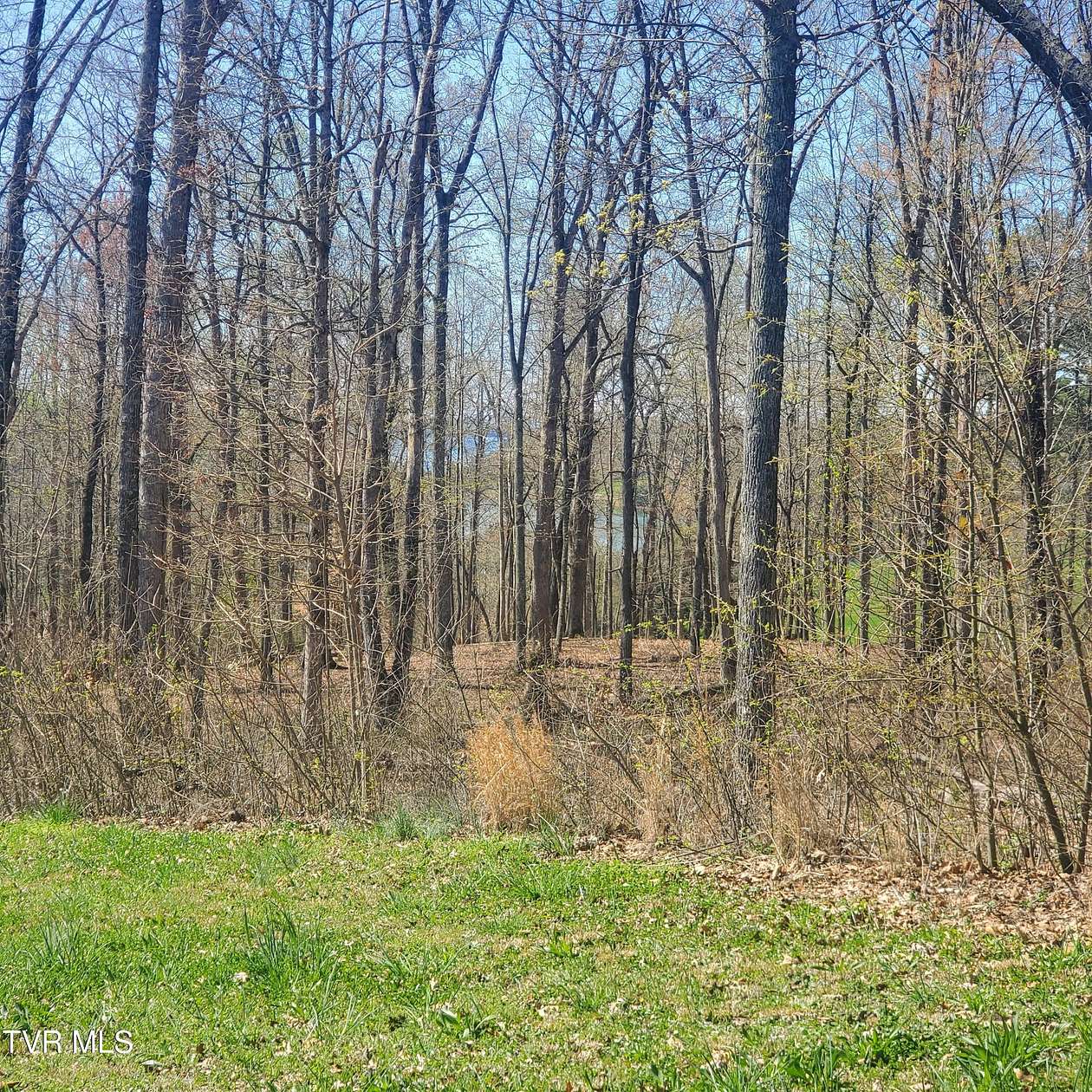 0.63 Acres of Residential Land for Sale in Rutledge, Tennessee