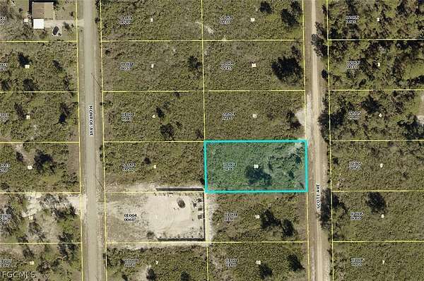 0.5 Acres of Residential Land for Sale in Lehigh Acres, Florida